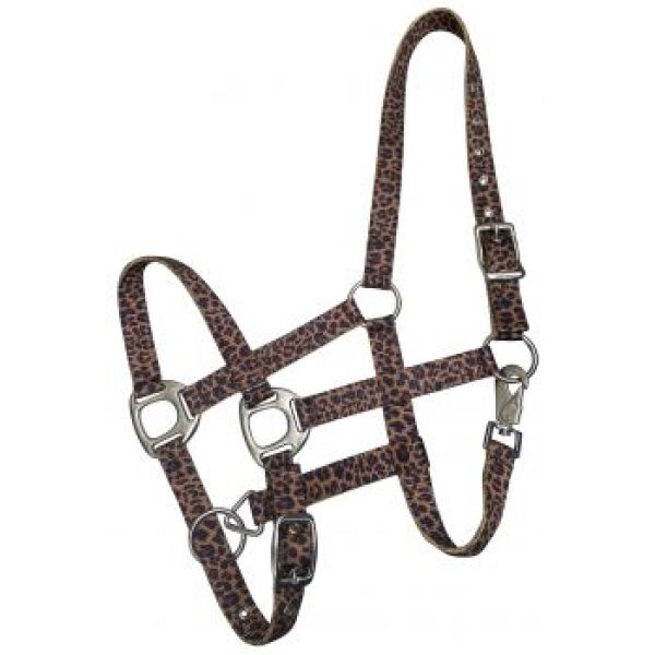 Showman® Premium Nylon Horse Sized Halter & Cheetah Design