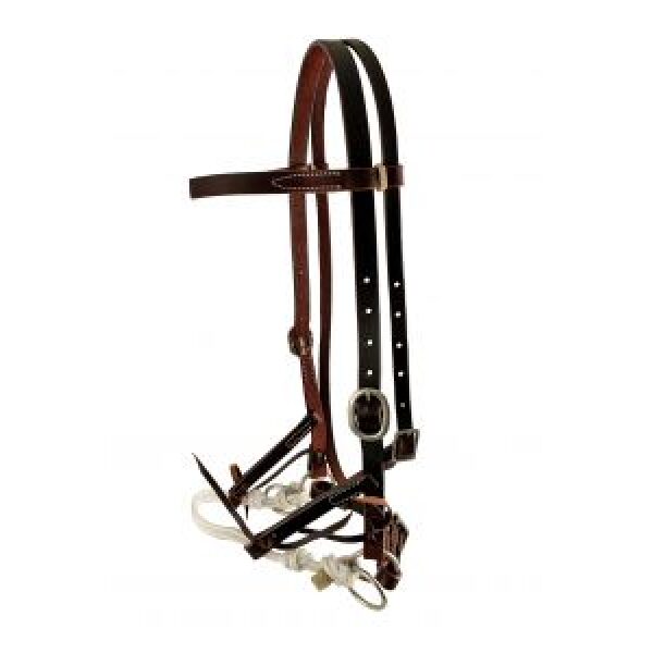 Showman Argentina Cow Leather Side Pull