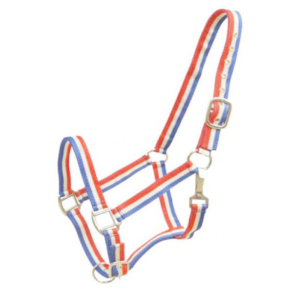 Showman RED WHITE & BLUE Striped Nylon Horse Size Adjustable HALTER &10' LEAD - Image 4